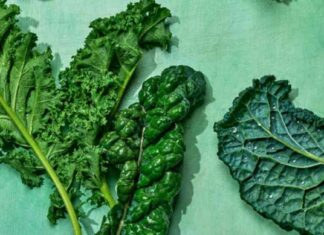 Anti-Inflammatory Nutrition Guide for Mastering Meal Prep news-19092024-002524