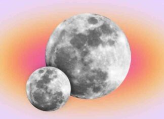 Earth’s Second Moon Discovery: The Impact on Your Zodiac Sign news-20092024-072735