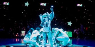 Meet the 5’10” Elephant Who Trains Like an Elite Athlete news-23092024-011817