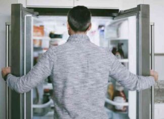 Why Do You Feel Hungry After Eating? Understanding the Science Behind Post-Meal Hunger news-25092024-170553