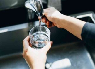 EPA Ordered to Review Risks of Fluoride in Drinking Water for Children news-26092024-043346