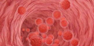 Jasper Reports Positive Data for Skin Condition Drug, Aiming to Rival Genentech and Novartis news-14102024-200606