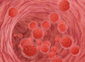 Jasper Reports Positive Data for Skin Condition Drug, Aiming to Rival Genentech and Novartis news-14102024-200606