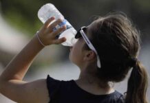 Navigating Ultra-Processed Foods: Dietary Experts’ Advice news-22102024-032124