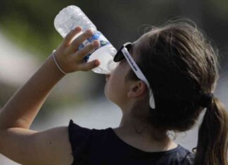 Navigating Ultra-Processed Foods: Dietary Experts’ Advice news-22102024-032124