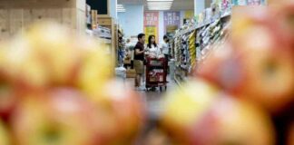 Healthy Eating: Emphasizing Fruits and Vegetables for Better Nutrition news-23102024-093106