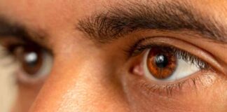 Improving Vision with Retina Implants: A Promising Solution for Severe Vision Loss news-24102024-034511