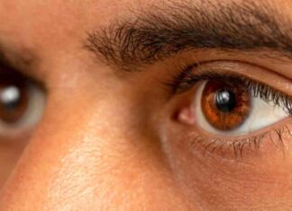 Improving Vision with Retina Implants: A Promising Solution for Severe Vision Loss news-24102024-034511