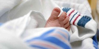 Morning Rounds: Importance of Newborn Screenings and Radiation-Resistant Tardigrades news-25102024-155725