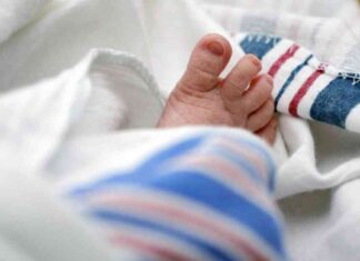 Morning Rounds: Importance of Newborn Screenings and Radiation-Resistant Tardigrades news-25102024-155725