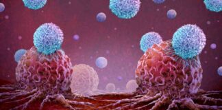 CAR-T Therapy Shows Promise for Treating Autoimmune Diseases without Impacting Fertility news-18112024-061417