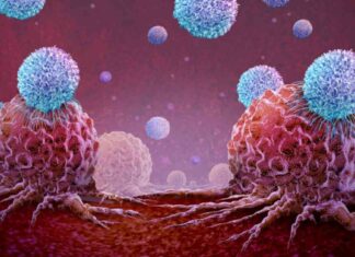 CAR-T Therapy Shows Promise for Treating Autoimmune Diseases without Impacting Fertility news-18112024-061417