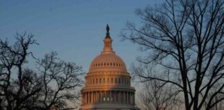 Impact of Trump’s Health Policies on Business: Analysis for RFK Jr. HHS news-22112024-202820