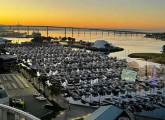 Advancements in Sanofi’s Treatment for Rare Platelet-Destroying Disease advancements-in-sanofis-treatment-for-rare-platelet-destroying-disease