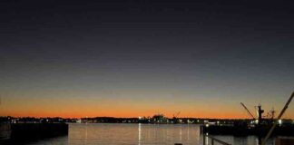 Revolutionary Biotech Battle: Impact on Transplants in Mantle Cell Lymphoma revolutionary-biotech-battle-mpact-on-transplants-in-mantle-cell-lymphoma