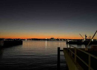 Revolutionary Biotech Battle: Impact on Transplants in Mantle Cell Lymphoma revolutionary-biotech-battle-mpact-on-transplants-in-mantle-cell-lymphoma