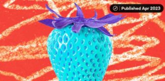 Understanding ARFID: Symptoms, Causes, and Treatment understanding-arfd-symptoms-causes-and-treatment