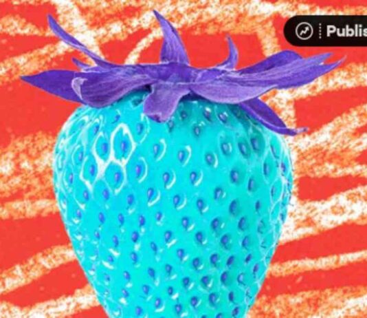 Understanding ARFID: Symptoms, Causes, and Treatment understanding-arfd-symptoms-causes-and-treatment