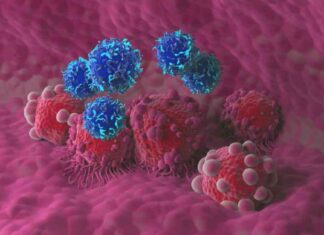 Enhancing Immune Cell Therapy for Cancer with CAR-T Cells: Study Findings enhancing-mmune-cell-therapy-for-cancer-with-car-t-cells-study-findings