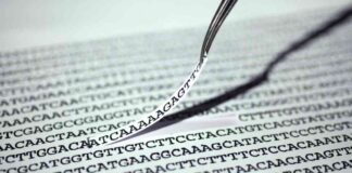 First In Vivo Beta-Thalassemia Trial by Chinese Biotech: What to Expect first-n-vivo-beta-thalassemia-trial-by-chinese-biotech-what-to-expect