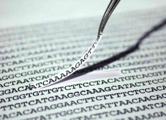 First In Vivo Beta-Thalassemia Trial by Chinese Biotech: What to Expect first-n-vivo-beta-thalassemia-trial-by-chinese-biotech-what-to-expect