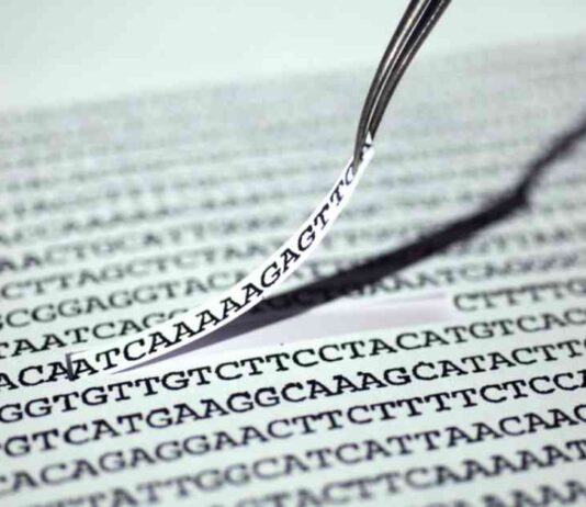 First In Vivo Beta-Thalassemia Trial by Chinese Biotech: What to Expect first-n-vivo-beta-thalassemia-trial-by-chinese-biotech-what-to-expect