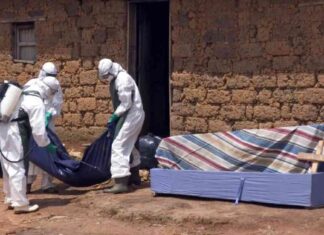 Protecting Americans from Marburg Outbreak: Current Measures and Response protecting-americans-from-marburg-outbreak-current-measures-and-response