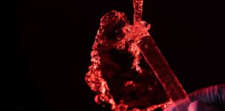 Trump administration cuts funding and ends DEI health programs: Impact on Researchers trump-administration-cuts-funding-and-ends-de-health-programs-mpact-on-researchers