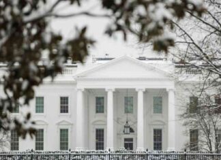 NSF Restores Payments After Pause, Science Funding Worries Persist nsf-restores-payments-after-pause-science-funding-worries-persist