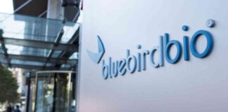 Challenges at FDA & bluebird Bio Sale: What You Need to Know challenges-at-fda-bluebird-bio-sale-what-you-need-to-know