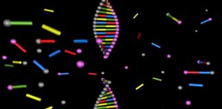 RFK Jr.’s Stem Cell Deregulation Roundtable: Red Flags Raised rfk-jrs-stem-cell-deregulation-roundtable-red-flags-raised