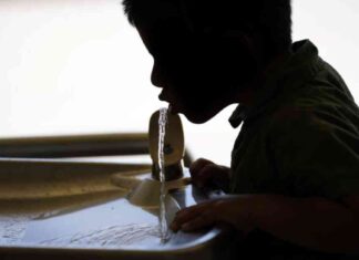 Fluoride Debate in the U.S.: Insights from an Indian Dentist fluoride-debate-in-the-us-nsights-from-an-ndian-dentist