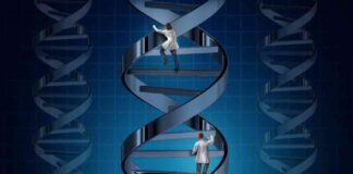 Gene Therapy Meeting: Addressing the Elephant in the Room gene-therapy-meeting-addressing-the-elephant-in-the-room