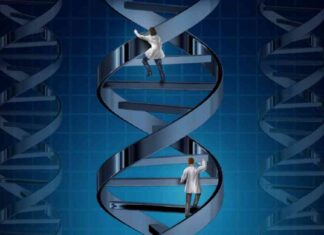 Gene Therapy Meeting: Addressing the Elephant in the Room gene-therapy-meeting-addressing-the-elephant-in-the-room