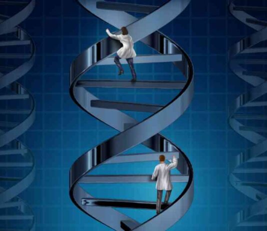 Gene Therapy Meeting: Addressing the Elephant in the Room gene-therapy-meeting-addressing-the-elephant-in-the-room