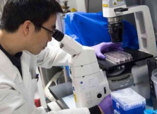 Regain Your NIH Research Funding: Strategies for Scientists regain-your-nh-research-funding-strategies-for-scientists