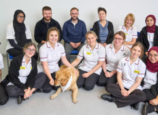 Promoting Dogs Health: Choosing the Best Dog Beds for Every Canine dog bed, dog beds, large dog beds, best dog beds, outdoor dog beds, orthopedic dog beds, chew proof dog bed, raised dog bed, cooling dog bed, heated dog beds