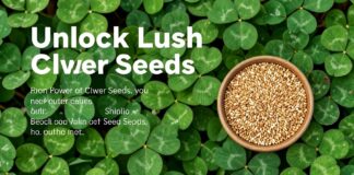 Unlock Lush Lawns: The Power of Clover Seeds