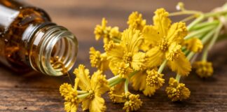 Discover the Health Benefits of Ferula Assa-Foetida