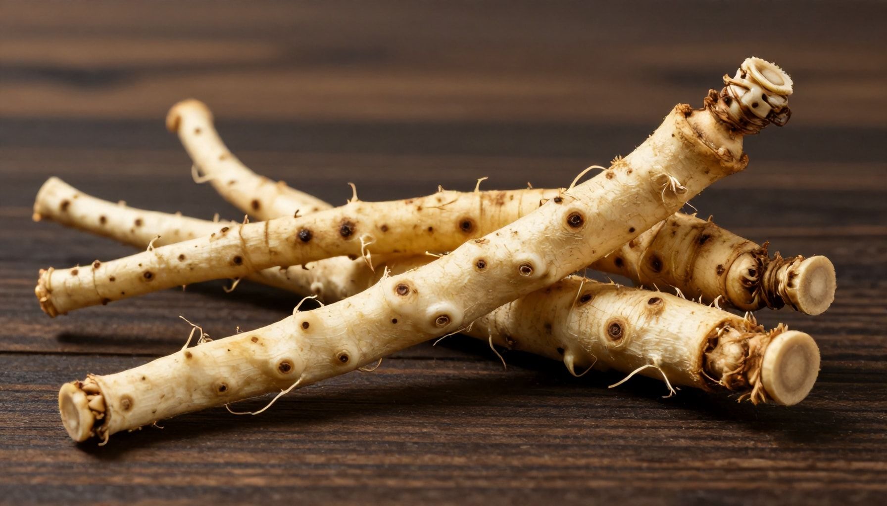How Sarsaparilla Root Supports Joint Health & Reduces Inflammation Naturally*