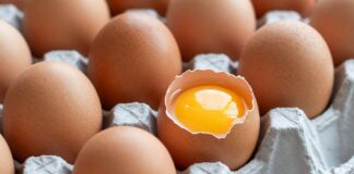 5 Simple Ways to Check if Your Eggs Are Still Fresh