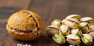 Discover the Delicious Difference: Pista vs. Pistachio