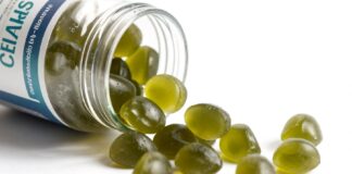 Sea Moss Gummies for Glowing Skin & Strong Immunity