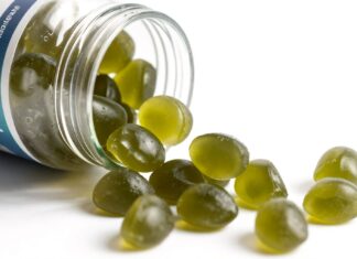 Sea Moss Gummies for Glowing Skin & Strong Immunity