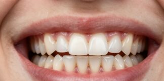 Learn the Names of Your Teeth for Better Dental Care