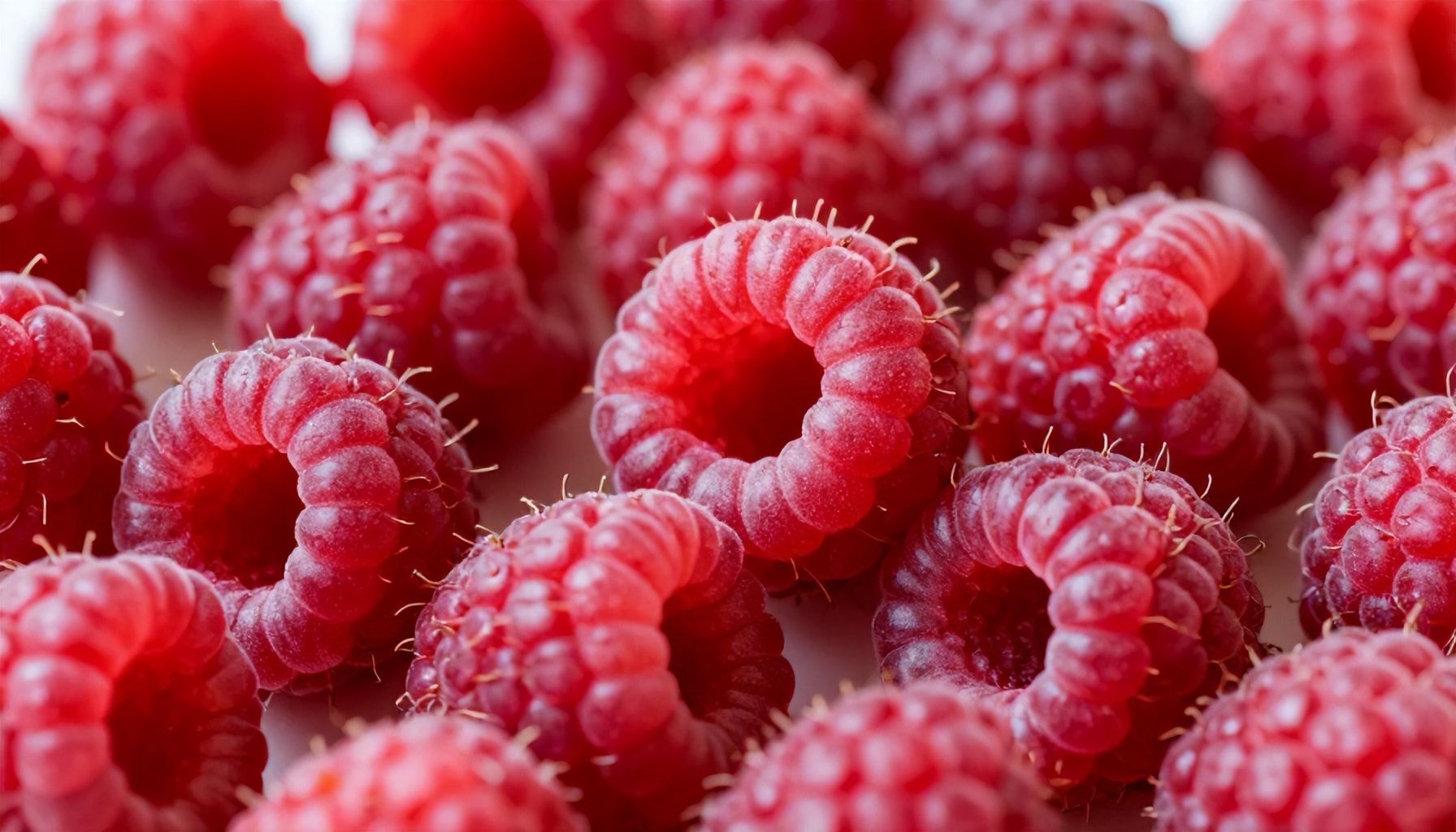 The Truth About Raspberries: Are They Safe for Dogs?*