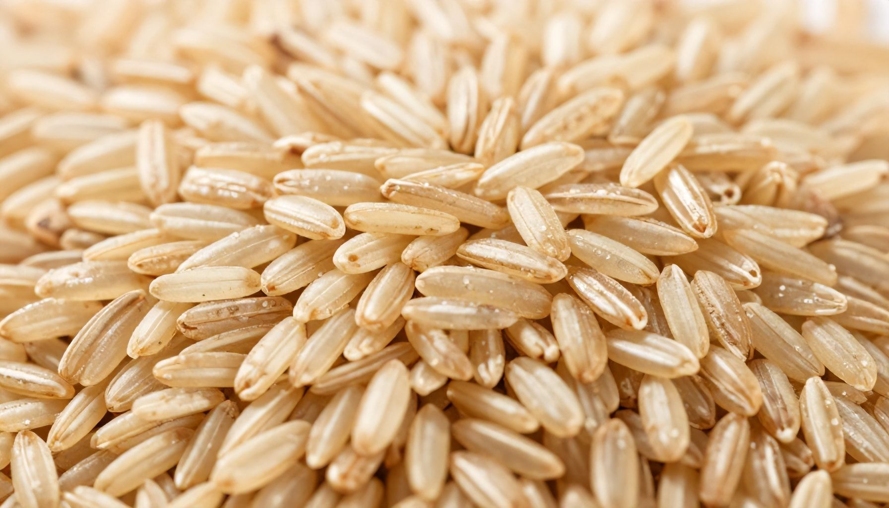 The Truth About Why Brown Rice Brown Is a Superfood for Your Gut Health*