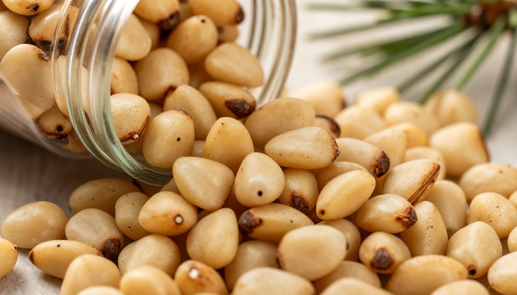 Why Pine Nuts Are a Powerhouse of Heart-Healthy Fats*