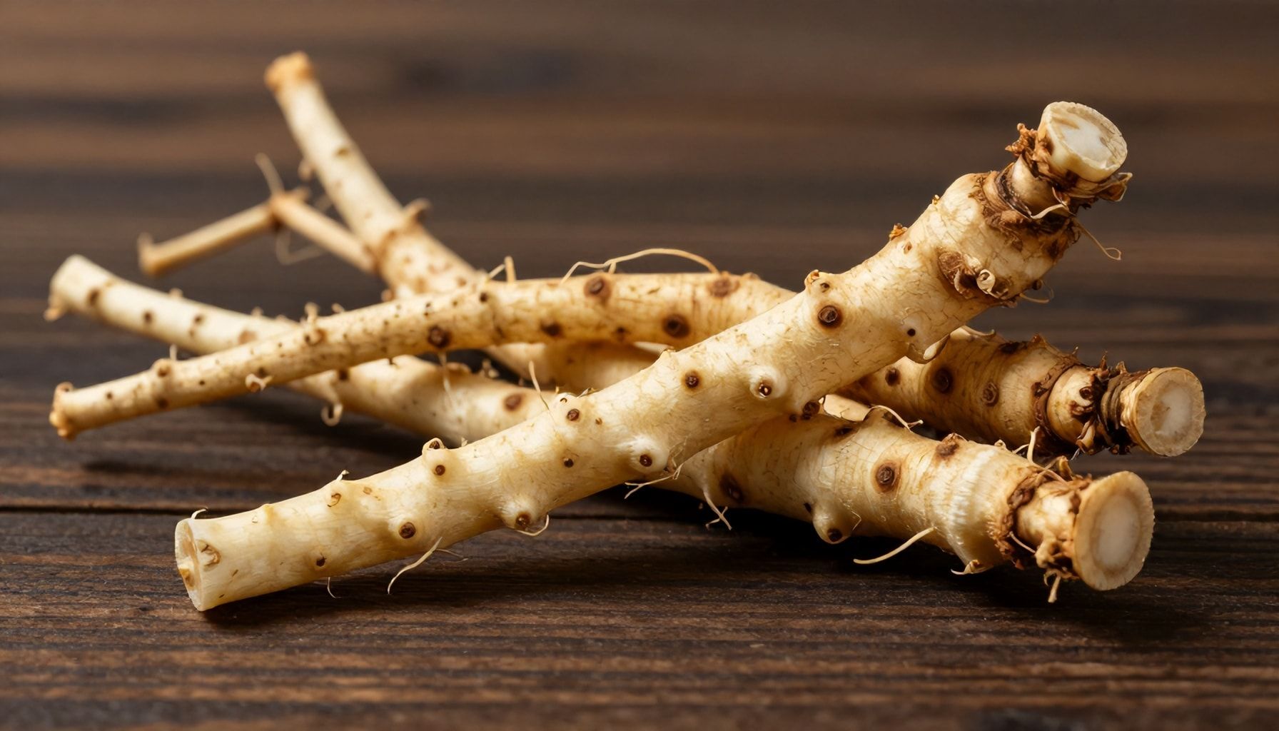 Why Sarsaparilla Root Is a Hidden Gem for Natural Joint Pain Relief*